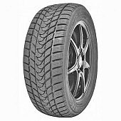 шина Delinte Winter WD1 215/55R16 97T в Санкт-Петербурге