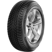 шина Nexen Winguard Ice Plus 215/55R16 97T XL в Санкт-Петербурге