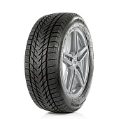шина Centara Vanti Winter 215/55R16 97V XL в Санкт-Петербурге