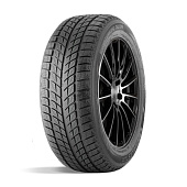 шина DoubleStar DW09 225/45R18 95T в Санкт-Петербурге