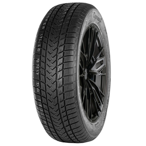 Gripmax SureGrip eWinter 245/45R17 99V XL BSW