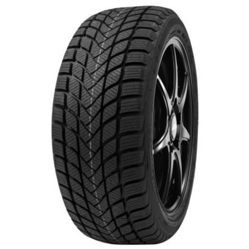 Delinte Winter WD6 225/55R16 99V XL
